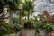 The inside of an expansive and diverse greenhouse