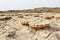 Inside the explosion crater of Dallol volcano, Danakil Depression, Ethiopia