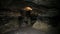 Inside Great ancient caves FHD