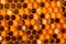 Inside the hive. Multicolored pollen in comb
