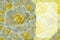 Inside left, yellow rose flowers bouquet on blur curved corner rectangle on blur yellow rose flowers background, nature, decor,