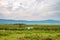 Inside Ngorongoro crater in Tanzania