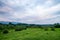 Inside Ngorongoro crater in Tanzania