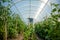 Inside private greenhouse with plants in home garden