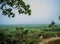 Inside view of Kaziranga National Park of northeast Indian state of Assam. Watchtower of Kaziranga National Park.