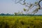 Inside view of Kaziranga National Park of northeast Indian state of Assam. Watchtower of Kaziranga National Park.