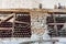 Inside a wine cellar with aged dust bottles and rustic wooden shelves. Historical storage of winery