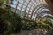 Inside the Winter Gardens in Sheffield, South Yorkshire