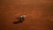 Insight Mars exploring the surface of red planet. Elements furnished by NASA