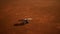 Insight Mars exploring the surface of red planet. Elements furnished by NASA