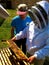 Inspecting a Langstroth Bee Hive