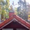 Inspection of the red tiled roof of a detached house, with a covered chimney and a satellite antenna..