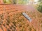 Inspection of the red tiled roof of a single-family house, inspection of the condition of the tiles on one roof side