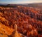 Inspiration Point during beautiful sunrise, with hoodoos - unique rock formations from sandstone made by geological erosion Bryce