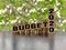 inspirational and conceptual - budget 2020 on wooden blocks with coins stack background