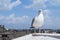 Inspirational image of european herring gull (Larus argentatus)