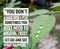 Inspirational Life Quotes on Background Design can use for Decoration Your Blog or Web Design. Selective Focus.