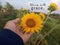 Inspirational motivational quote - Bloom with grace. With nature background of young woman hand holds touches the sunflower