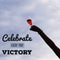 Inspirational motivational quote `Celebrate every tiny victory`