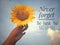 Inspirational motivational quote - Never forget the hands that raised you. With background of blue sky and beautiful sunflower