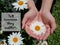 Inspirational motivational quote - Tell someone they matter. With background of big white daisy flower blossom in young woman hand