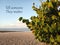 Inspirational motivational quote- Tell someone they matter. With white sandy beach under clean blue sky scenery and green plants