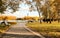 Inspirational natural autumn landscape. A path in the autumn city park leading to the embankment. Sunny warm day, golden autumn.