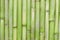 Inspirational, natural green bamboo background creating a zen scene