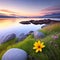 Inspirational Nature. A serene landscape photograph of a peaceful meadow at sunrise with a single flower