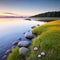 Inspirational Nature. A serene landscape photograph of a peaceful meadow at sunrise with a single flower