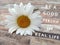 Inspirational quote - Be a good person in real life. Kindness motivational words concept on with white daisy flower,