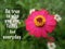 Inspirational quote - Be true to who you are. Today. And everyday. Be real concept with red pink zinnia flower on green background