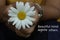 Inspirational quote - Beautiful mind inspire others. Motivational words concept with person holding a white daisy flower in hand.