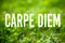 Inspirational quote carpe diem seize the day written on green grass background