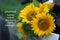 Inspirational quote - Gratitude turns what we have into enough. With bouquet of yellow sunflower blossom in the garden.