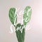 Inspirational quote `Keep Life Simple`. Cactus plant on white background.