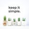 Inspirational quote `Keep it simple`. Cactus plant on white background.