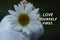 Inspirational quote - Love yourself first. On floral background of white daisy flower in hand. Self love and care concept. Healing