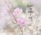 Inspirational quote and motivation background on blurred orchid