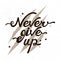 Inspirational quote Never give up. The background bear claws scratching