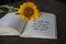 Inspirational quote - No matter how hard the past you can always begin again. With notes on a book and sun flower blossom on