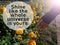 Inspirational quote - Shine like the whole universe is yours. With hand touched by the sun light over marigold flowers garden.