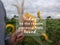 Inspirational quote - Today, be the reason someone feels loved. With blurry background of sunflowers garden, hand holding flower.v