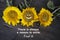 Inspirational words with yellow sun flowers - There is always a reason to smile. Find it. Three beautiful sunflowers blossom.