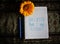 Inspiratonal motivational quote - Am i better than i was yesterday.  Notes on white paper notebook with blue pen, sunflower