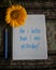 Inspiratonal motivational quote - Am i better than i was yesterday.  Notes on white paper notebook with blue pen, sunflower.