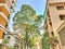 Inspiring view of the modern city. The wall of the apartment building against trees