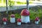 Installation of household items in the form of amanita mushrooms on the lawn.