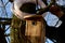 Installation and inspection of birdhouses on trees for spring nesting. A man in an overall fitter takes an ornithologist up a ladd