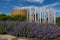 Installation in purple flower border with First Nations Huron-Wendat museum-hotel complex